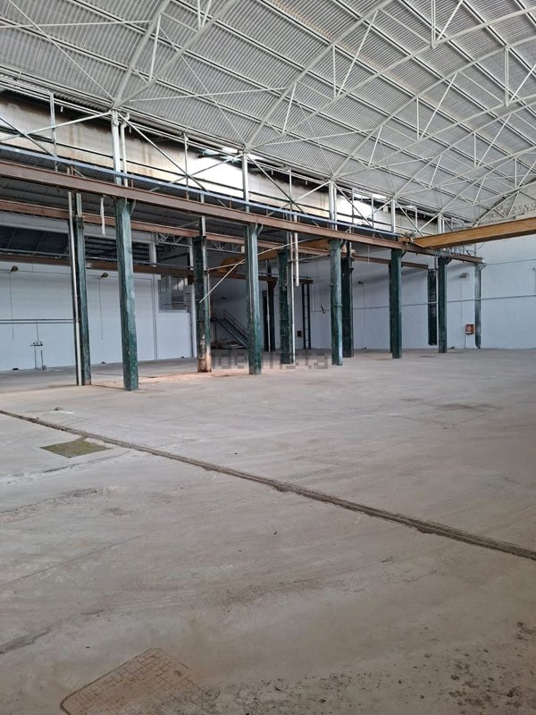 capannone in affitto a Cura Carpignano