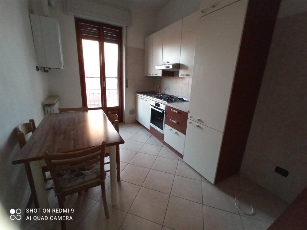 appartamento in affitto a Mortara