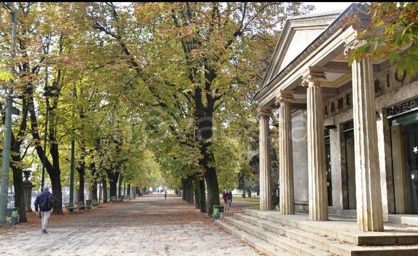 appartamento in affitto a Palestro