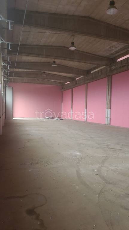 locale commerciale in affitto a Pavia in zona Viale Cremona