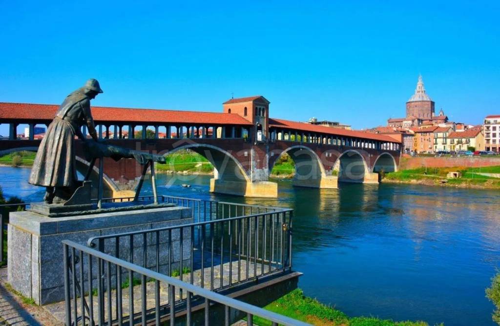 trivano in affitto a Pavia in zona Borgo Ticino