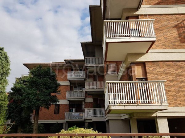 appartamento in affitto a Pavia