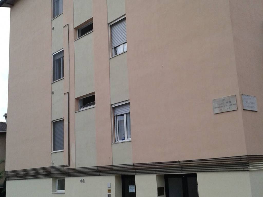 appartamento in affitto a Pavia
