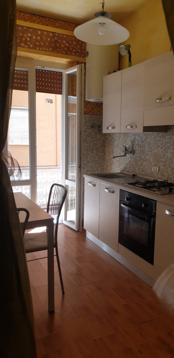 appartamento in affitto a Pavia in zona Borgo Ticino