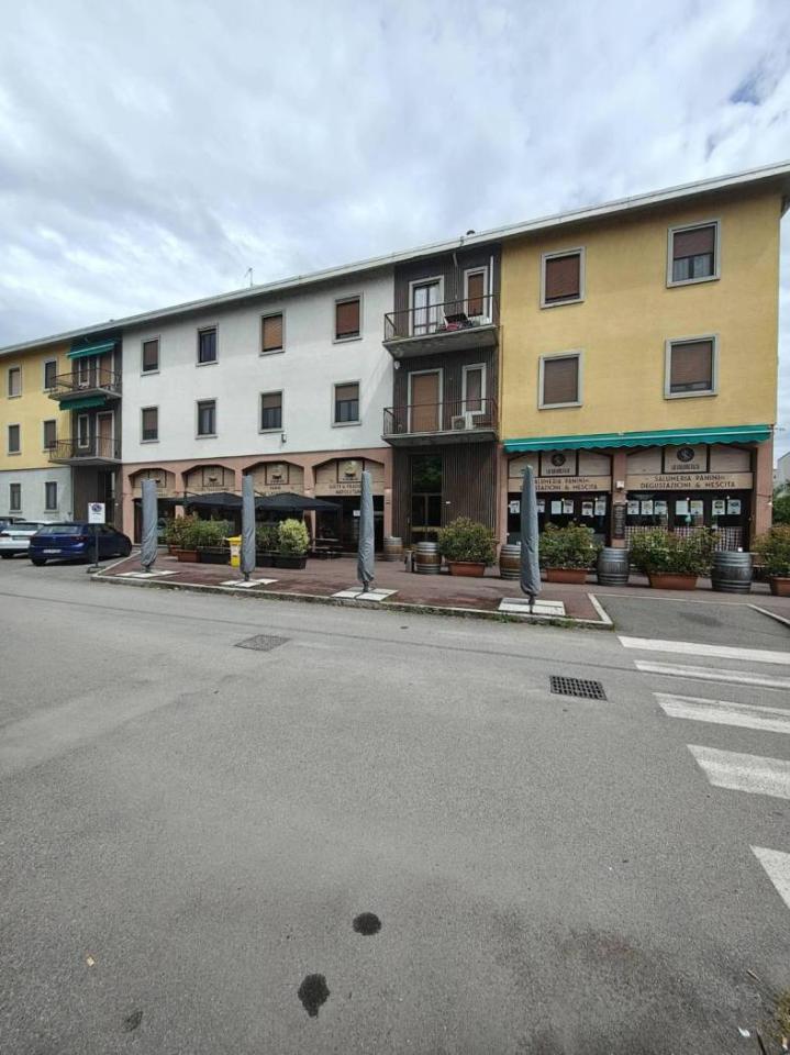 appartamento in affitto a Pavia in zona Chiozzo