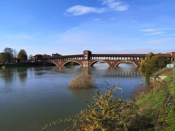 appartamento in affitto a Pavia