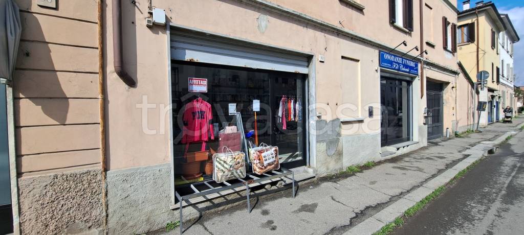 quadrivano in affitto a Pavia in zona Città Giardino
