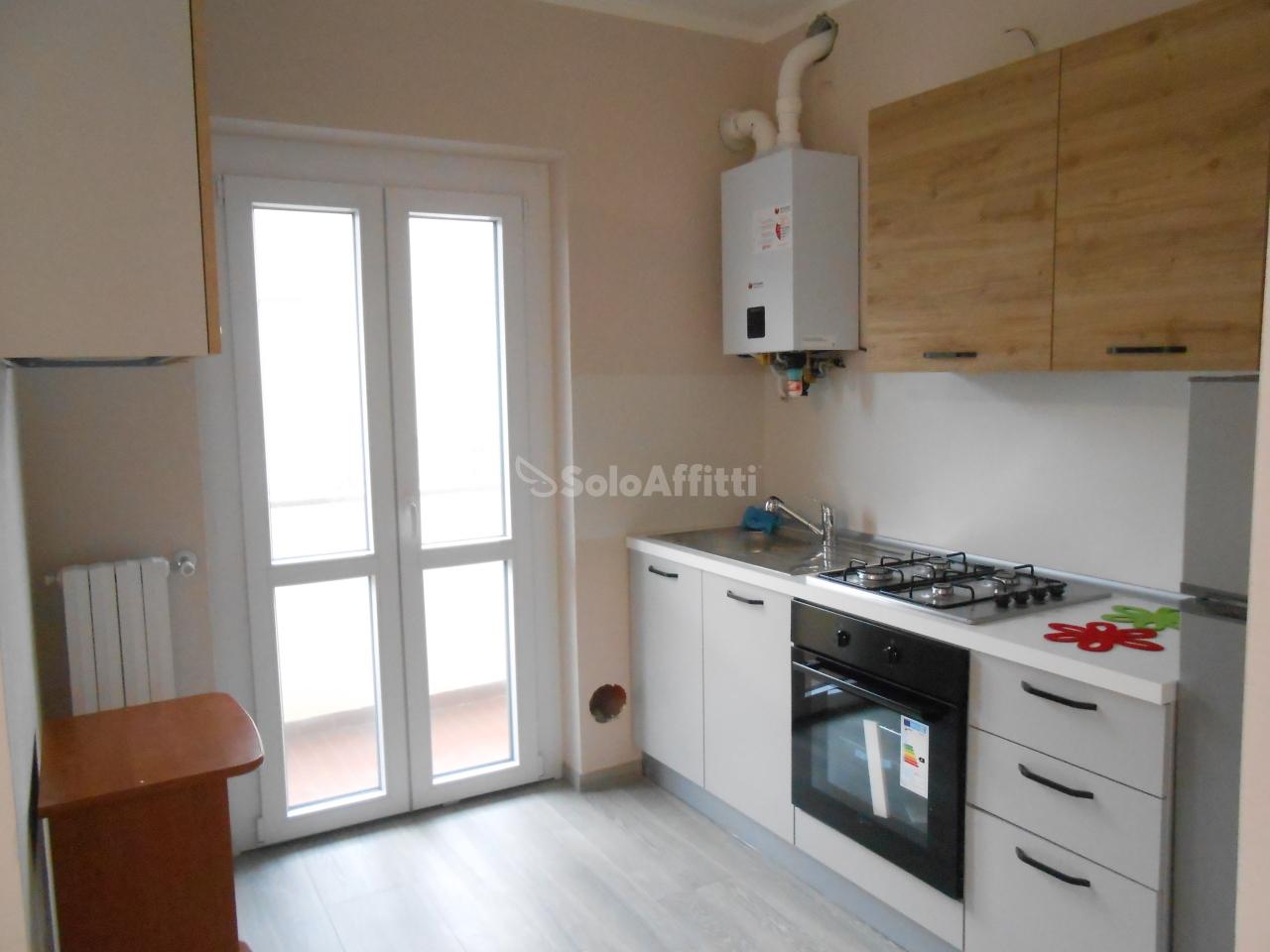 appartamento in affitto a Pavia in zona Borgo Ticino