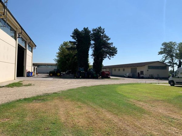 locale commerciale in affitto a Pavia in zona Vallone