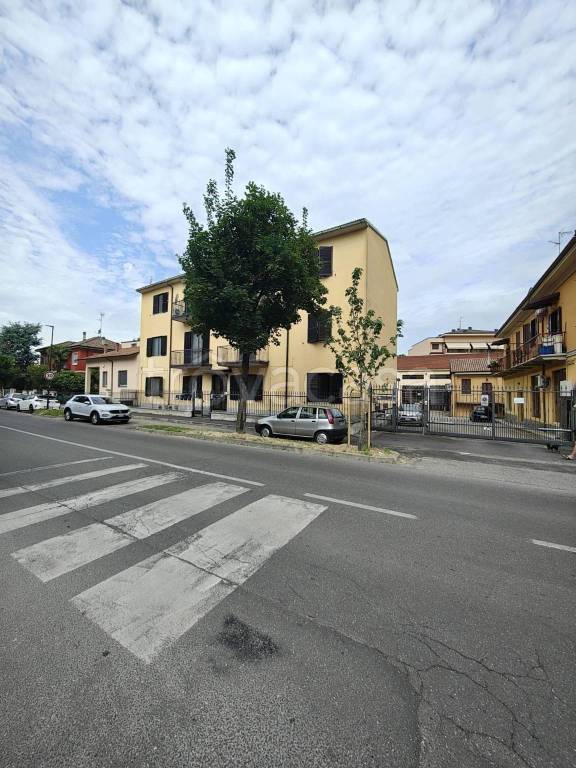 appartamento in affitto a Pavia in zona Borgo Ticino