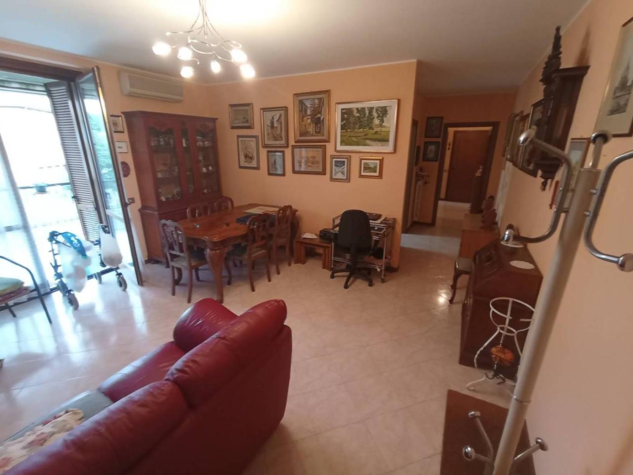 appartamento in affitto a Pavia