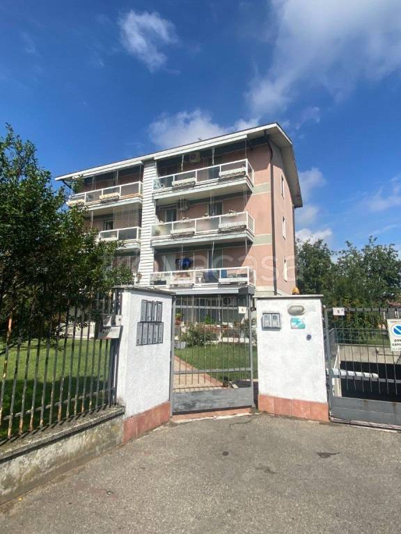 appartamento in affitto a Pavia in zona Viale Cremona