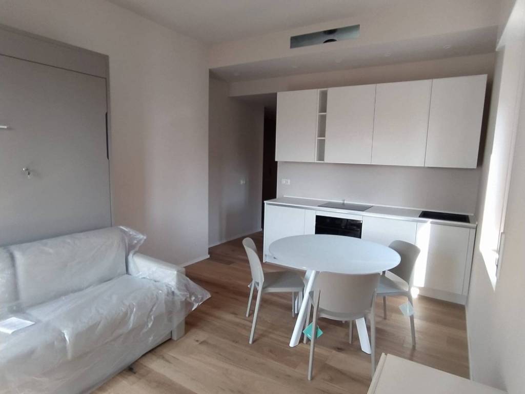 appartamento in affitto a Pavia in zona Viale Della Libertà