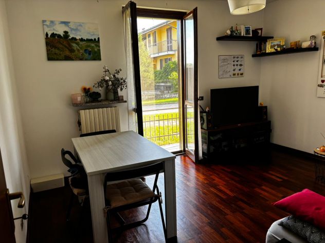 appartamento in affitto a Pavia in zona Mirabello