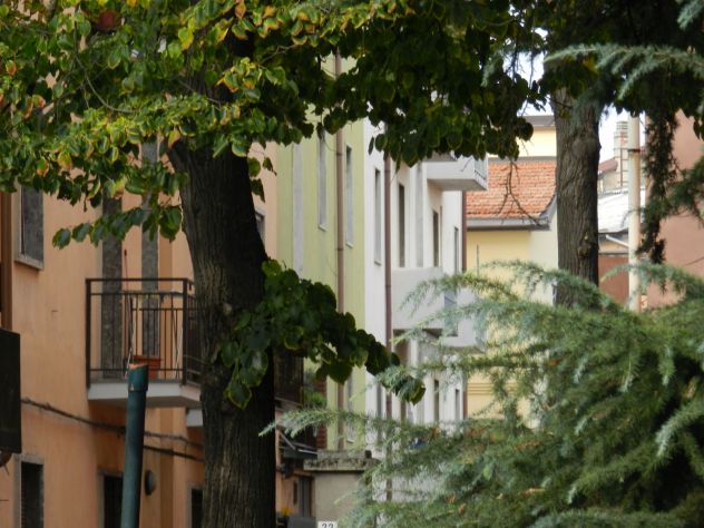 appartamento in affitto a Pavia in zona Campari