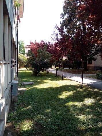 camera singola in affitto a Pavia in zona Centro Città