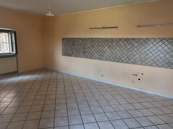 appartamento in affitto a Pavia in zona Belvedere