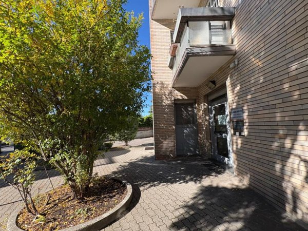 ufficio in affitto a Pavia