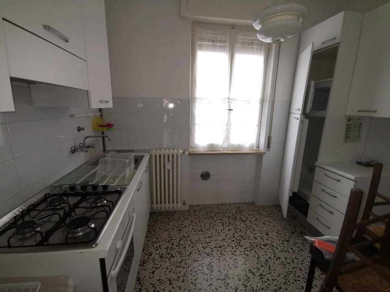 appartamento in affitto a Pavia