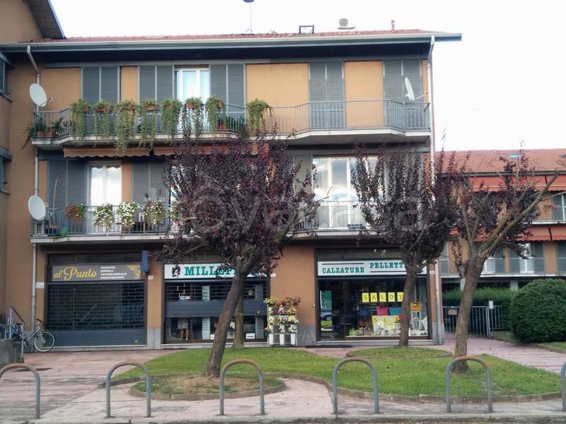 appartamento in affitto a Pavia in zona Casa sul Fiume