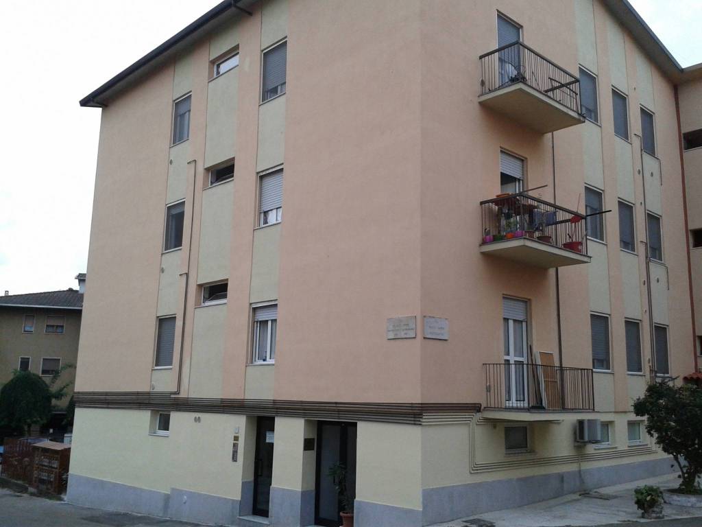 appartamento in affitto a Pavia