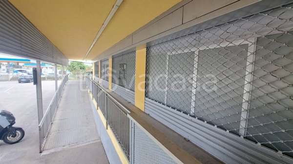 negozio in affitto a Pavia in zona Viale Cremona