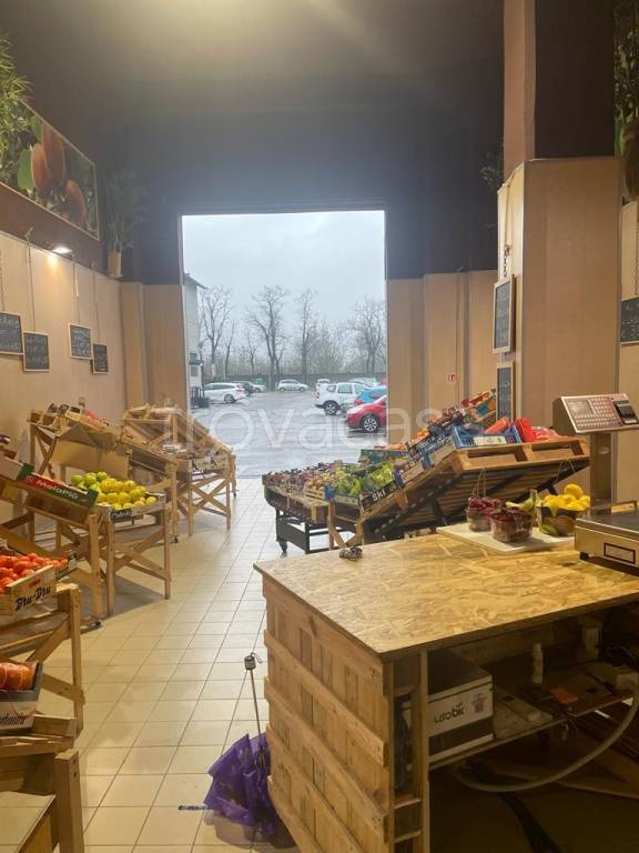 negozio in affitto a Pavia in zona San Pietro