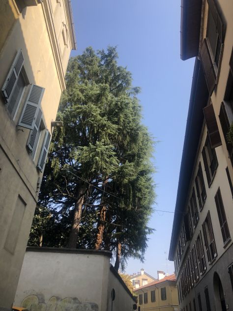 camera singola in affitto a Pavia in zona Centro Città