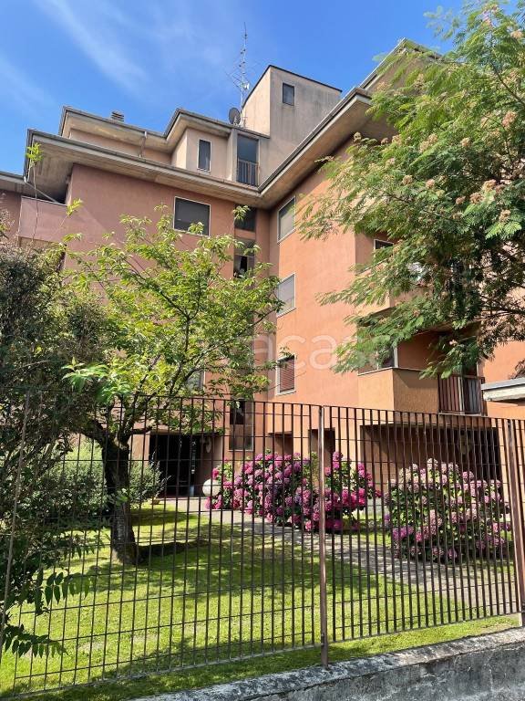 appartamento in affitto a Pavia in zona Viale Cremona