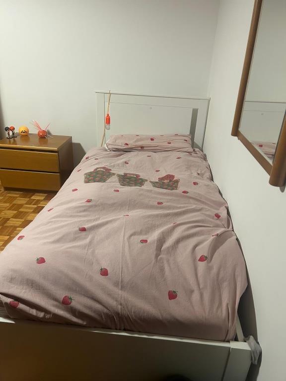 camera singola in affitto a Pavia