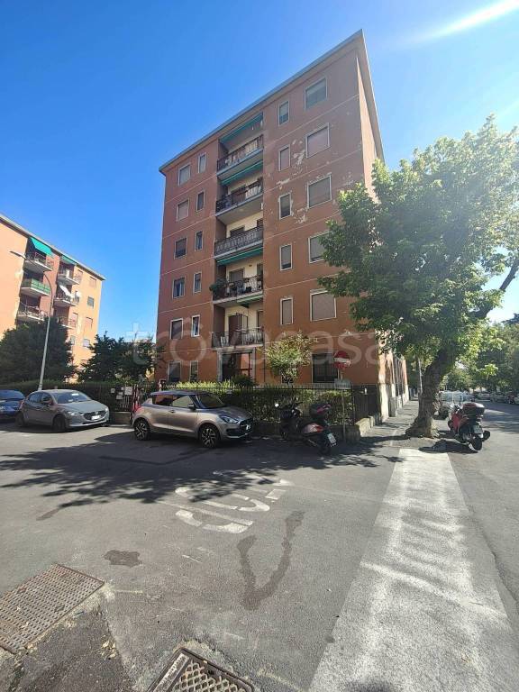 appartamento in affitto a Pavia in zona Pompieri