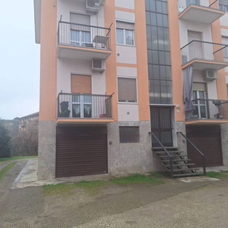 appartamento in affitto a Pavia