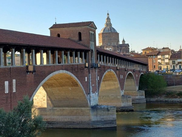 appartamento in affitto a Pavia in zona Borgo Ticino