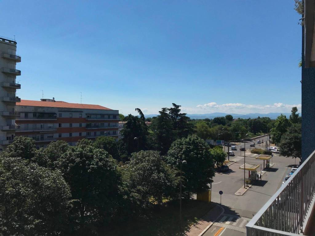 appartamento in affitto a Pavia in zona Viale Della Libertà