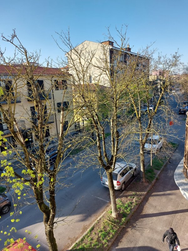appartamento in affitto a Pavia in zona Borgo Ticino