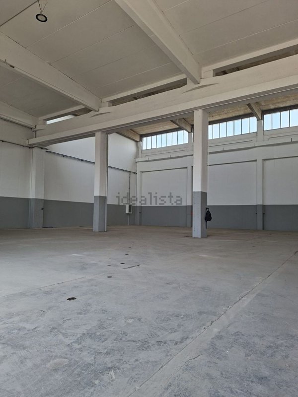 capannone in affitto a Pavia in zona Viale Cremona