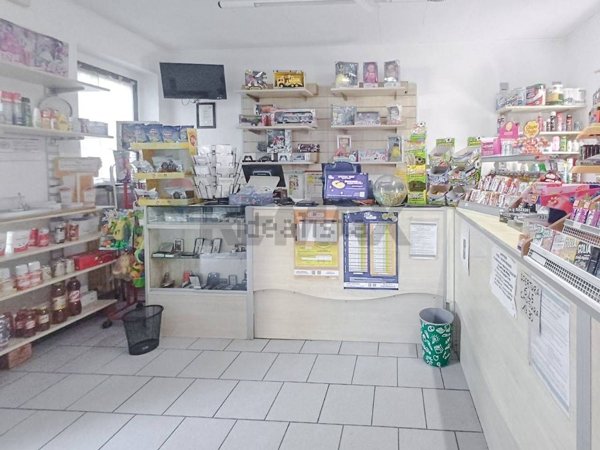 appartamento in affitto a Robbio