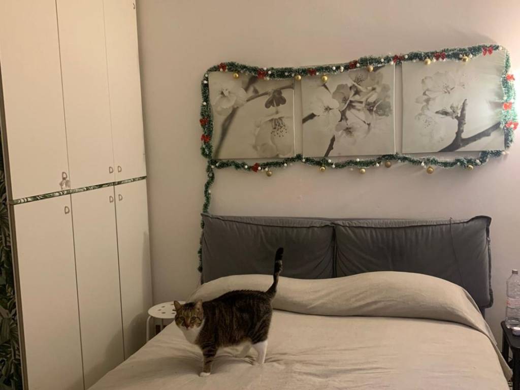 appartamento in affitto a San Martino Siccomario