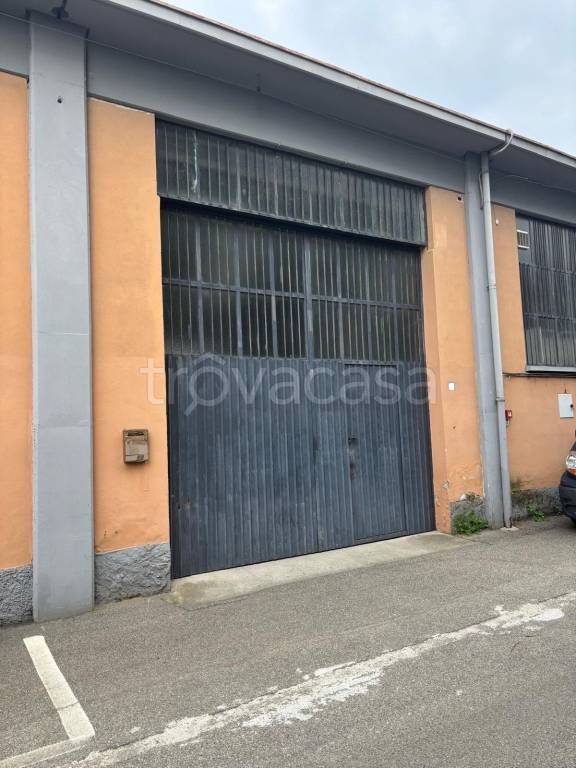 locale commerciale in affitto a Travacò Siccomario in zona Rotta