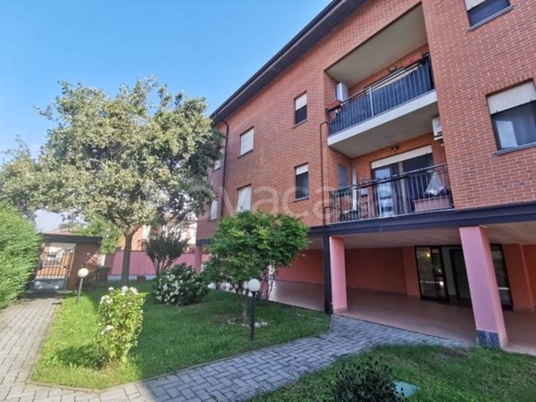 appartamento in affitto a Vellezzo Bellini