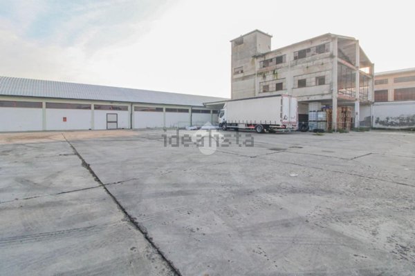 capannone in affitto a Vellezzo Bellini