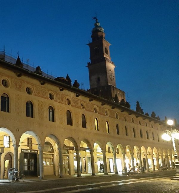 negozio in affitto a Vigevano