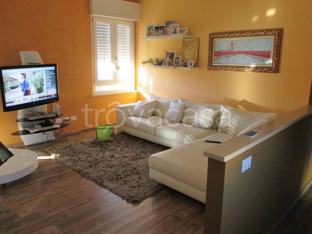 appartamento in affitto a Vigevano