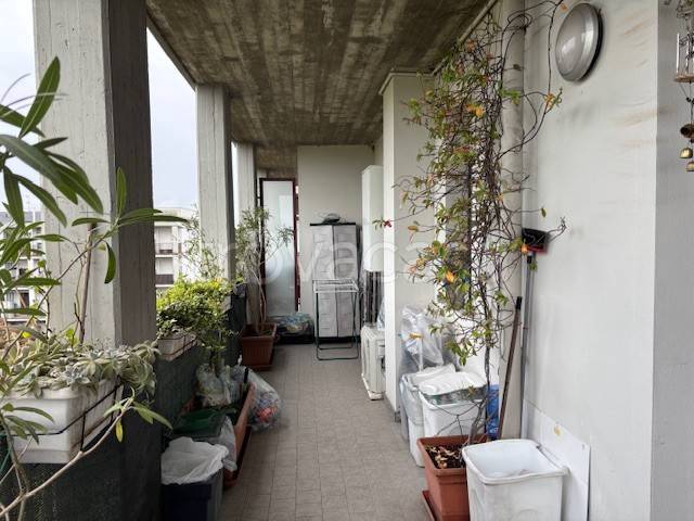 appartamento in affitto a Vigevano