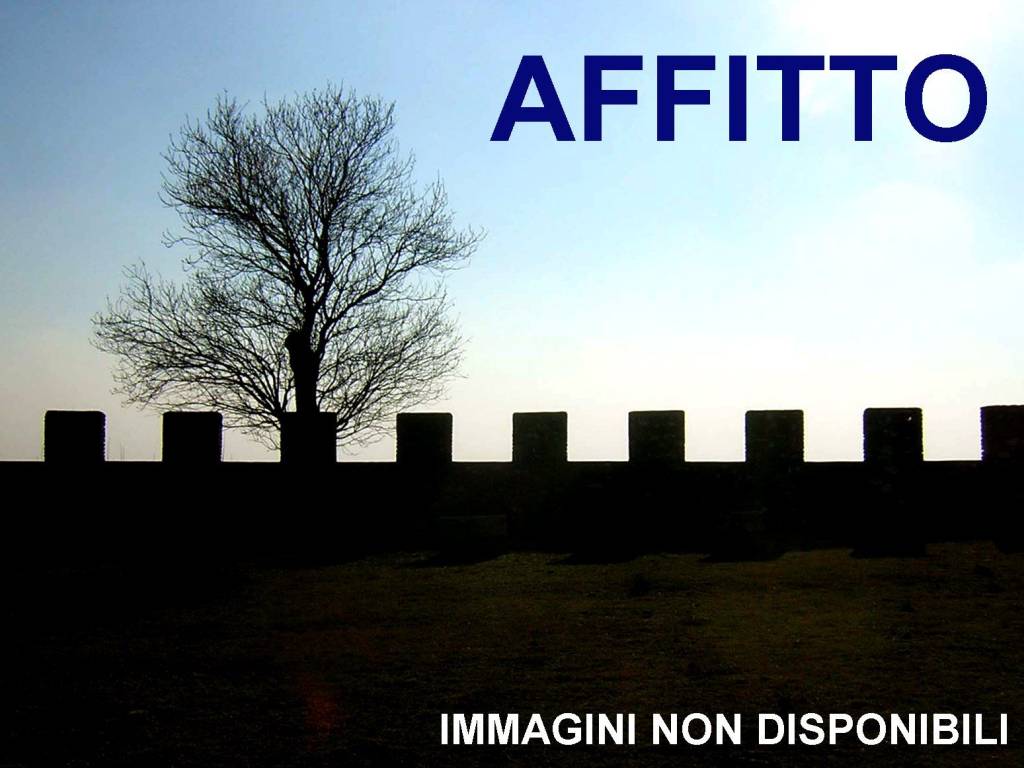 locale commerciale in affitto a Vigevano
