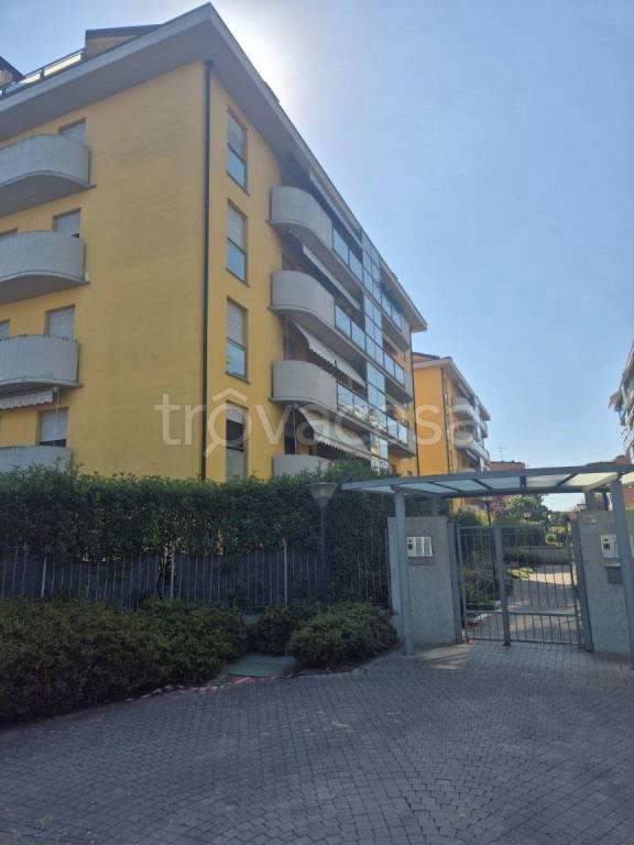 appartamento in affitto a Vigevano