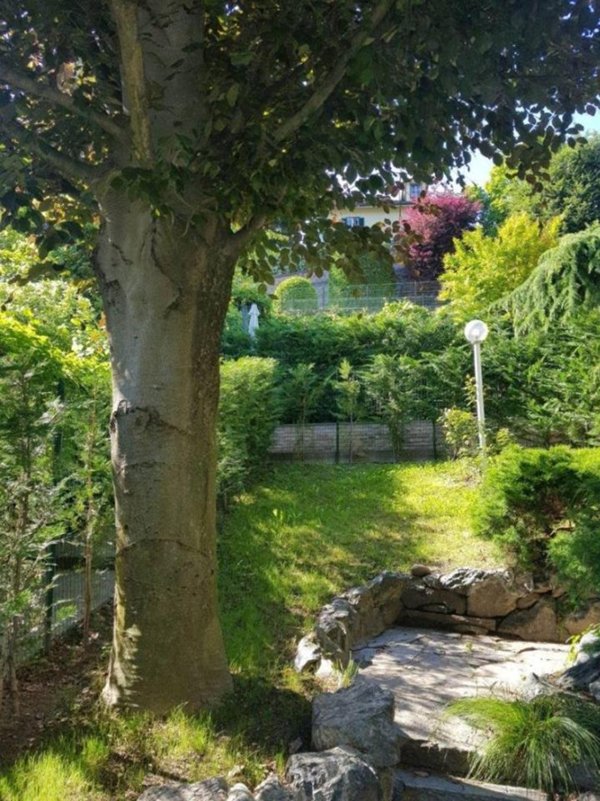 appartamento in affitto a Moncalieri in zona Boccia d'Oro