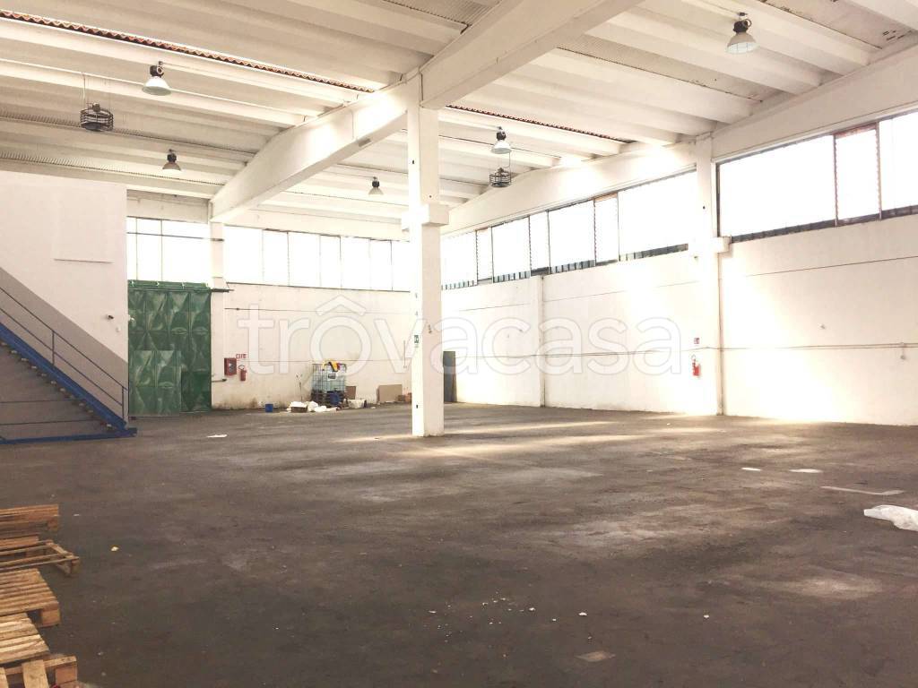 appartamento in affitto a Moncalieri