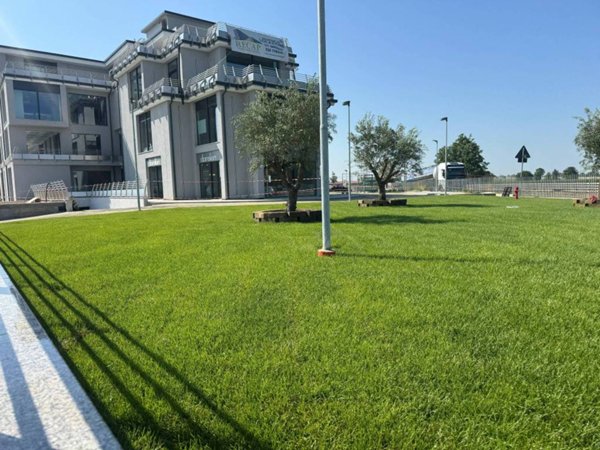 negozio in affitto a Moncalieri