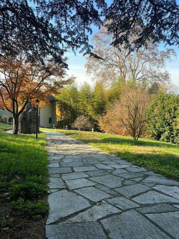 appartamento in affitto a Moncalieri